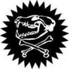 ������ ��� ����