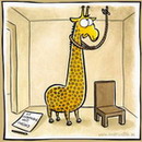 ������ ��� fiesta